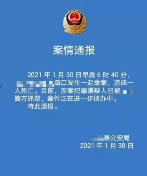 益阳网红爆料案件最新,揭秘背后惊人真相